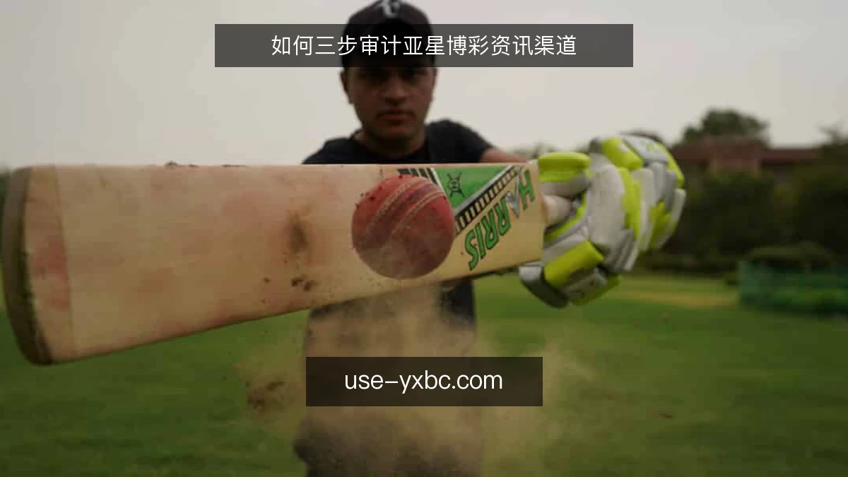 如何三步审计亚星博彩资讯渠道
