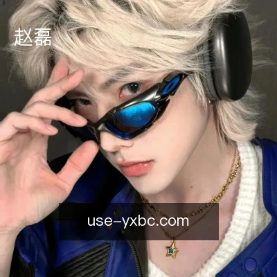 赵磊